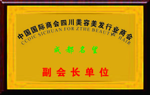 2008年获得“中国国际商会四川美容美发行业商会”副会长单位