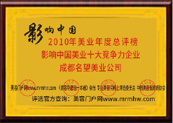 十大竞争力品牌