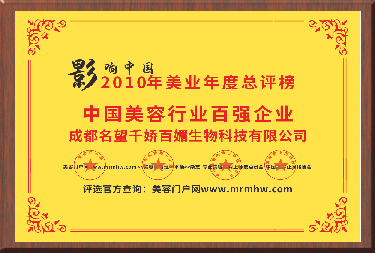 百强企业